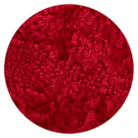 11 Ruby