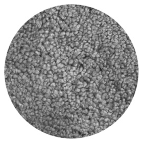 22 Scandinavian Grey